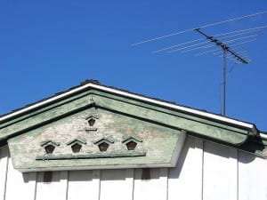 Dovecotes