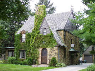 Ivy Covered Tudor 