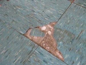 Damaged asbestos vinyl flooring