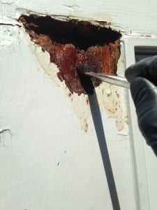 liquidwood application
