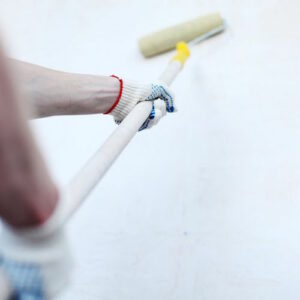Ask the Craftsman: How to Encapsulate Lead Paint