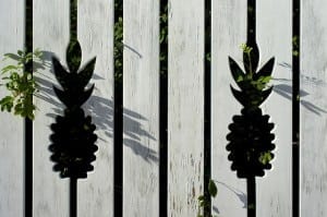 pineapple fence