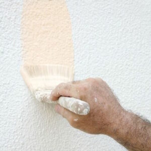 Brushing vs. Spraying Paint: Which is Best?