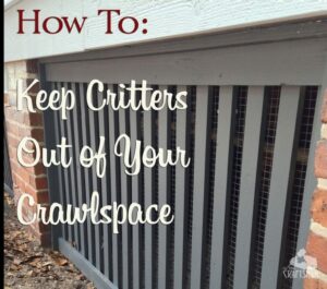 how-to-keep-critters-out-of-your-crawlspace