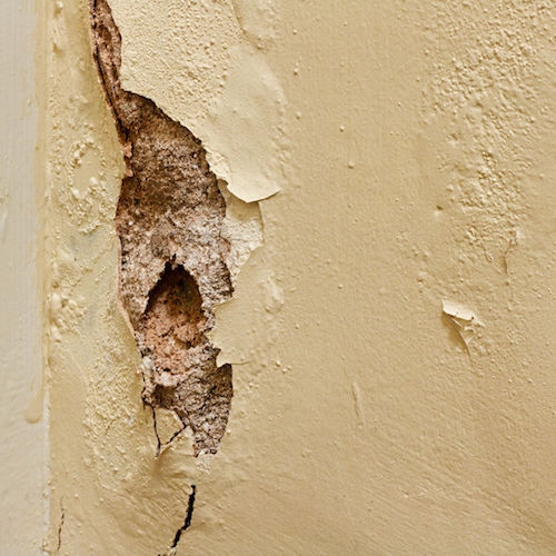 plaster repair