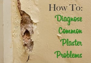 How To Diagnose Common Plaster Problems