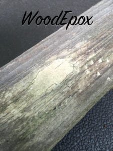 WoodEpox Year 2