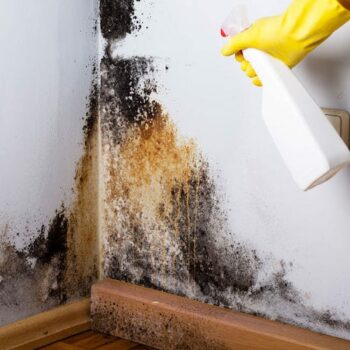 How To: Get Rid of Mold and Mildew
