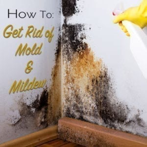 how to get rid of mold and mildew