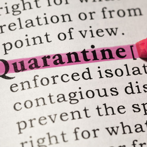6 Home Projects to Do While Quarantined