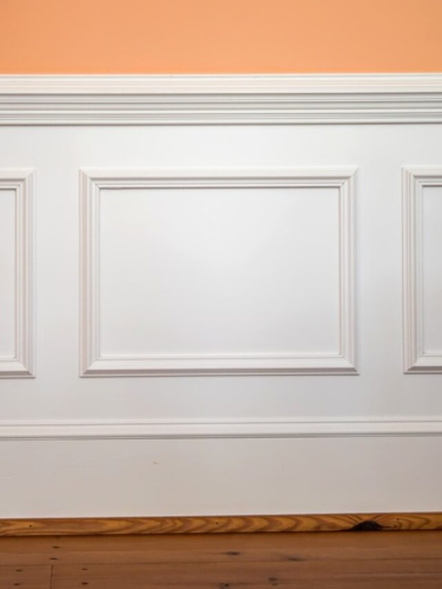 Is It Wainscoting or Wainscoating?