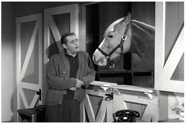 mister ed dutch door